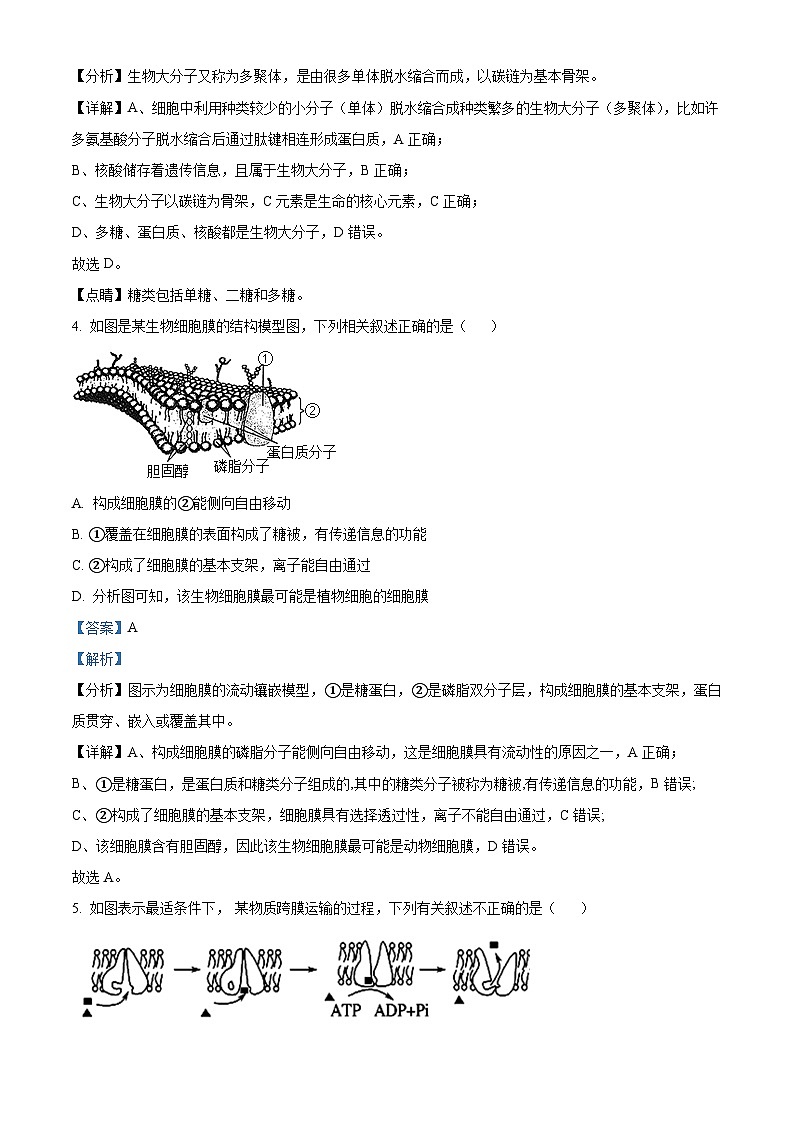 广东省珠海市六校联考2023-2024学年高一下学期4月期中生物试题（原卷版+解析版）03