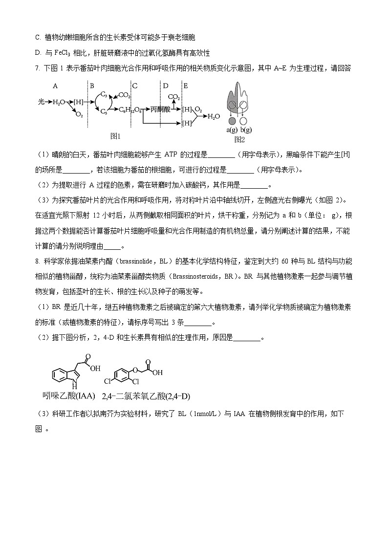 四川省成都市金牛区成都市实验外国语学校2024年高三三模考试生物试题（原卷版+解析版）03