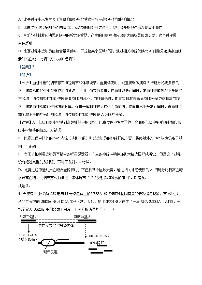 四川省成都市金牛区成都市实验外国语学校2024年高三三模考试生物试题（原卷版+解析版）03