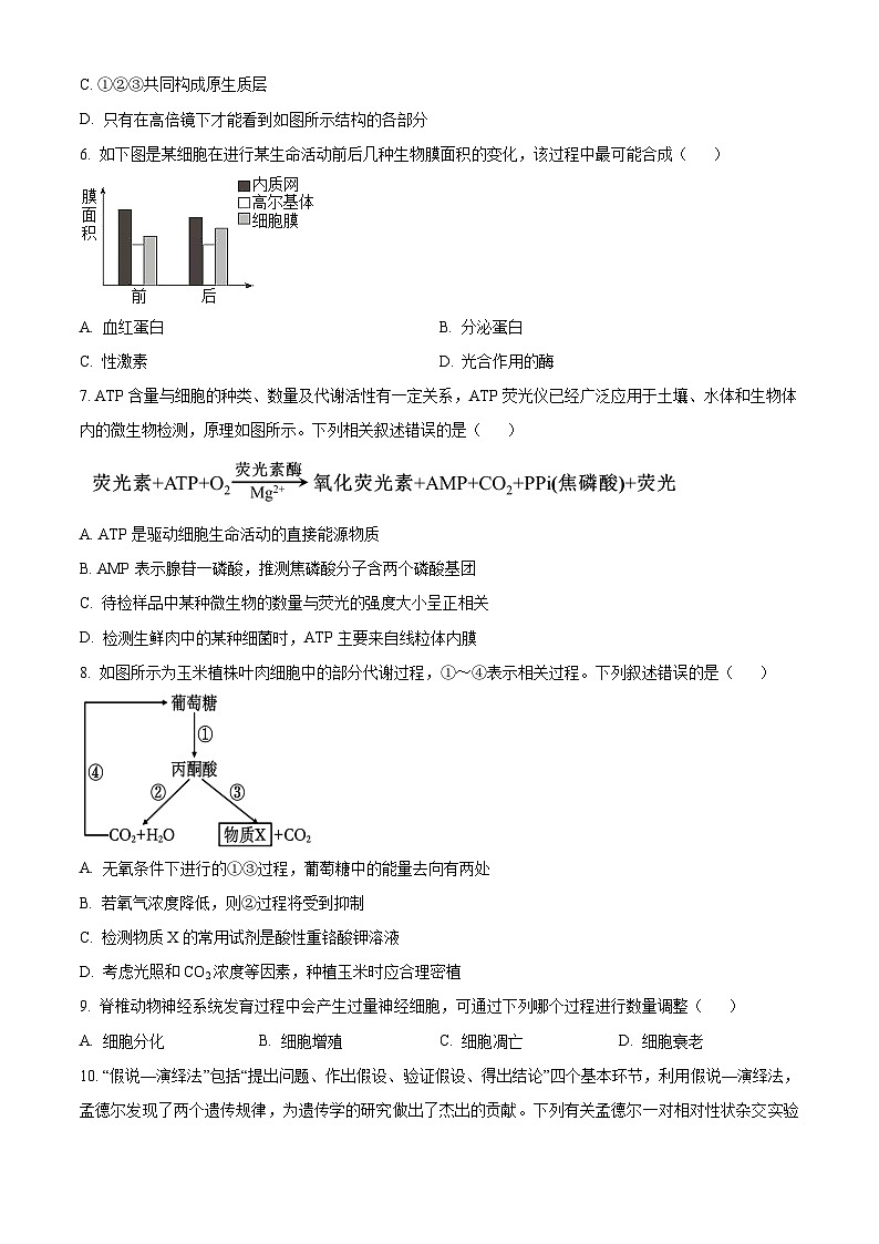 浙江省杭州市S9联盟2023-2024学年高一下学期期中联考生物试卷（原卷版+解析版）02