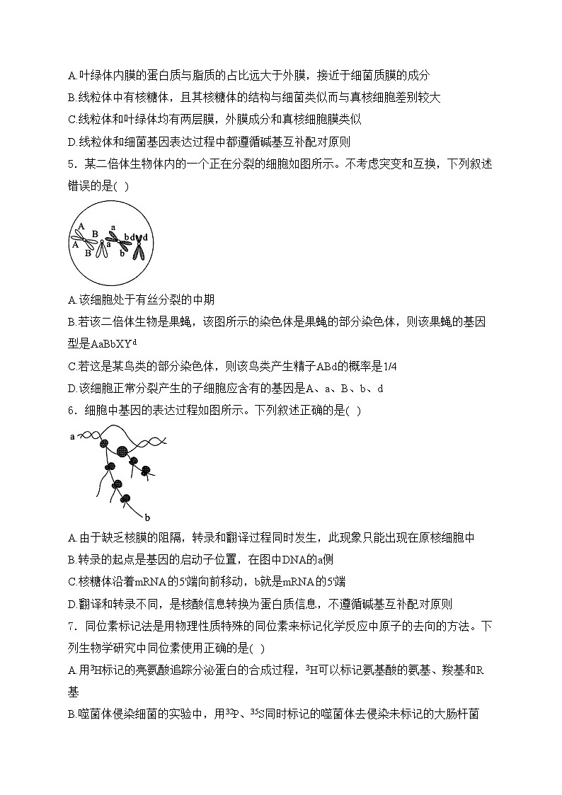 2024届高考生物挑战模拟卷 【广东卷】(含答案)第2页
