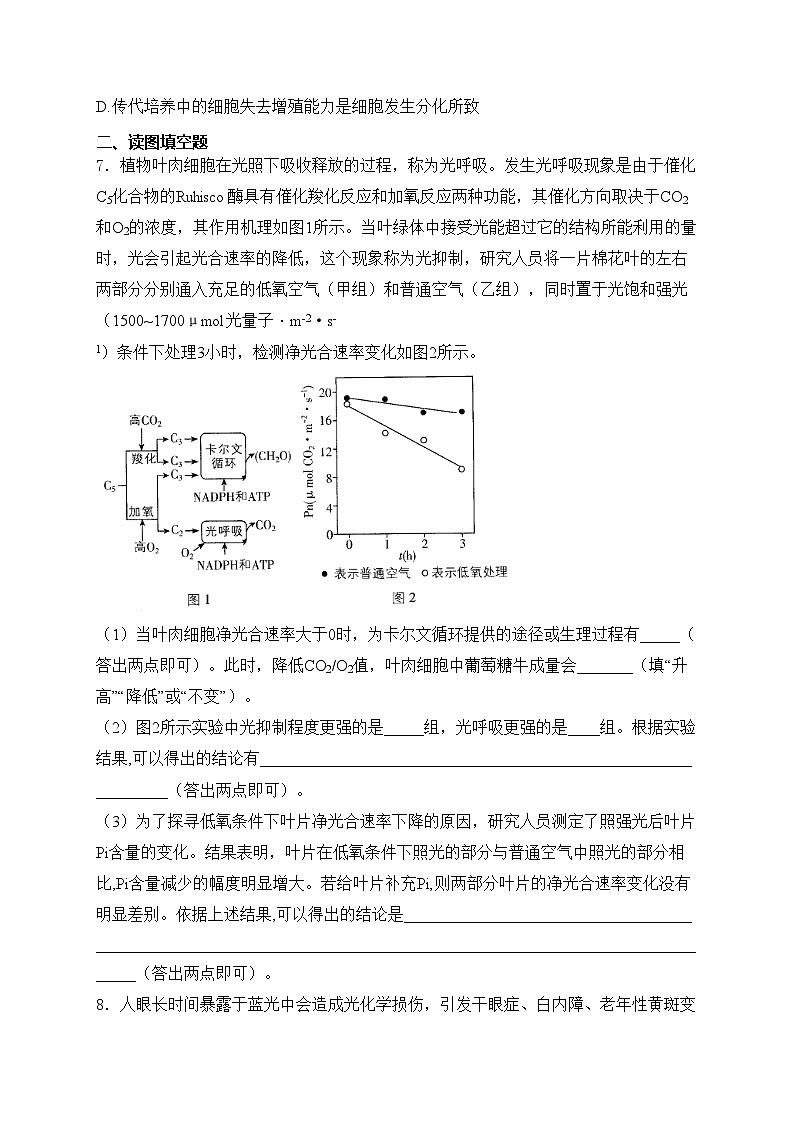 2024届高考生物挑战模拟卷 【新课标卷】(含答案)第3页