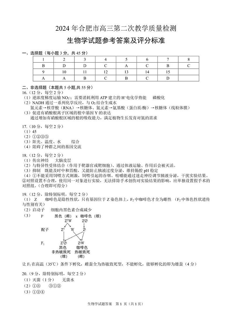 2024届安徽省合肥市高三第二次教学质量检测-生物01