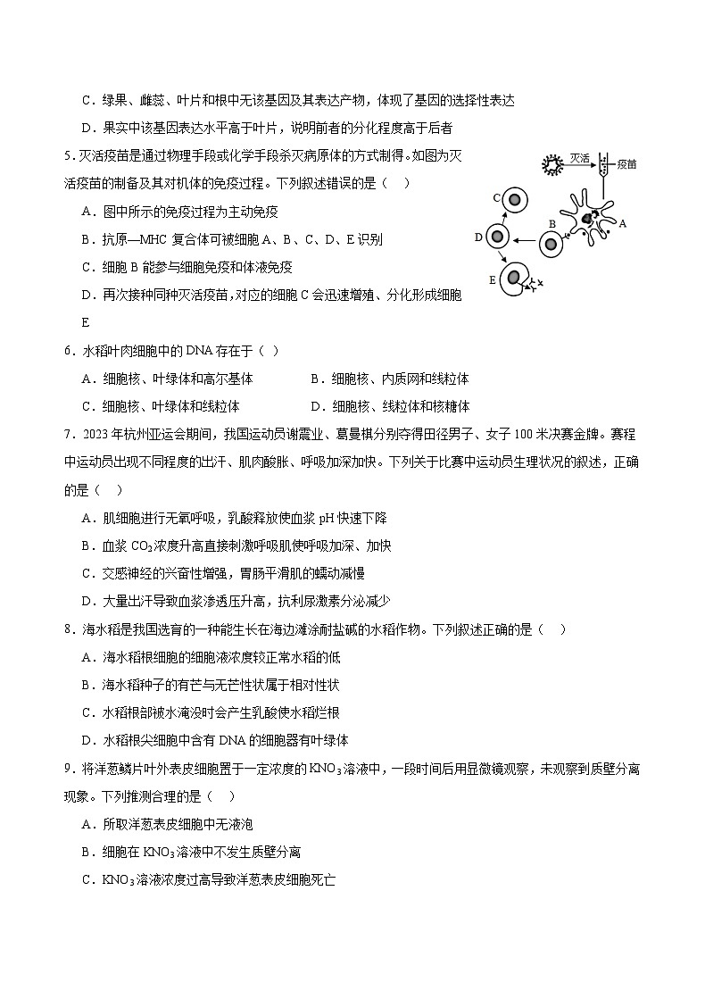 重庆市乌江新高考协作体2024届高三下学期模拟监测（一）生物02