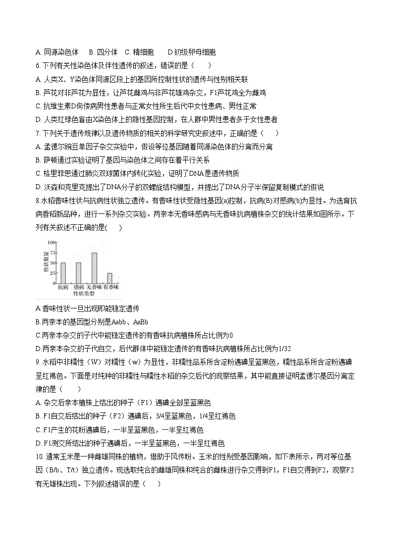 河南省南阳市社旗县第一高级中学2023-2024学年高一下学期4月期中生物试题02