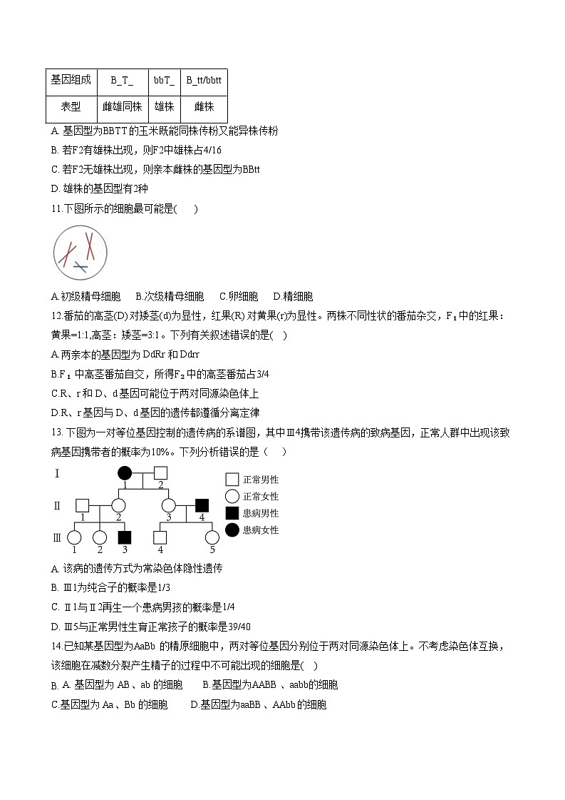 河南省南阳市社旗县第一高级中学2023-2024学年高一下学期4月期中生物试题03