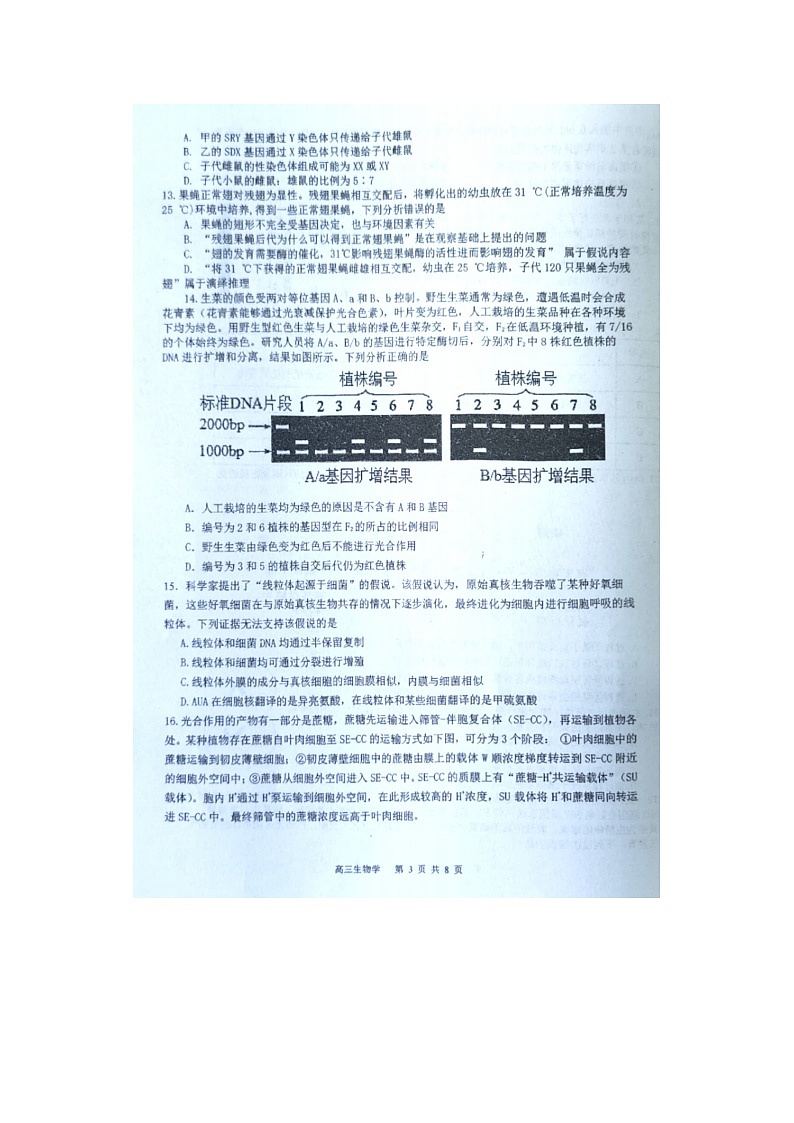 2023届福建省三明市教研联盟校高三上学期生物11月期中试题03