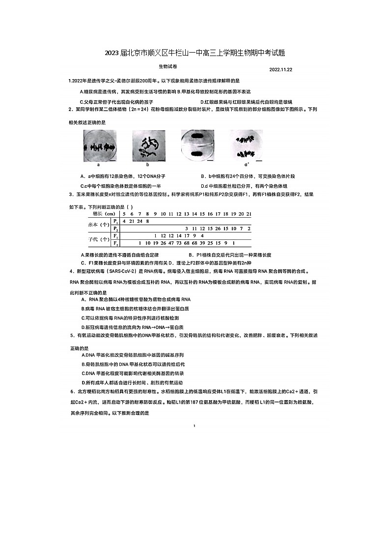 2023届北京市顺义区牛栏山一中高三上学期生物期中考试题01