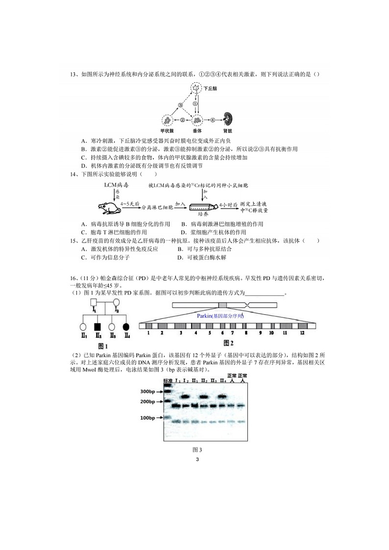 2023届北京市顺义区牛栏山一中高三上学期生物期中考试题03