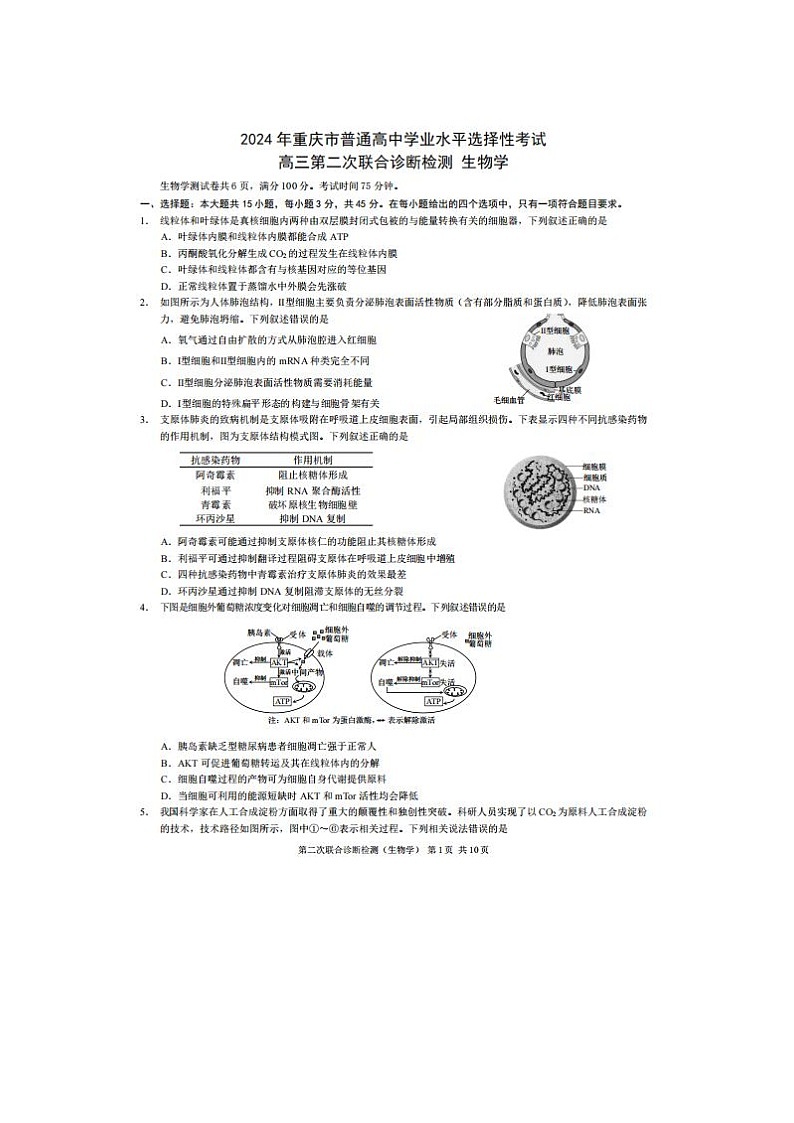 2024届重庆高三下学期二诊康德卷4月生物试题01