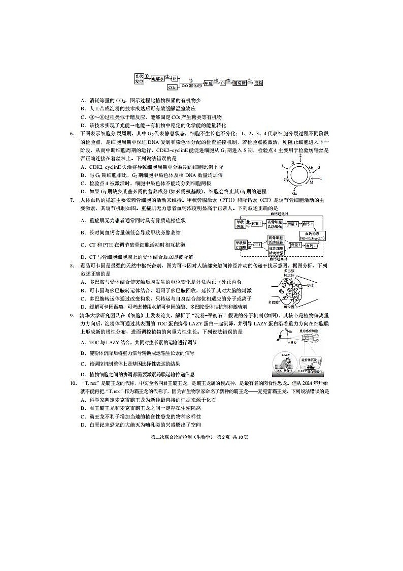 2024届重庆高三下学期二诊康德卷4月生物试题02