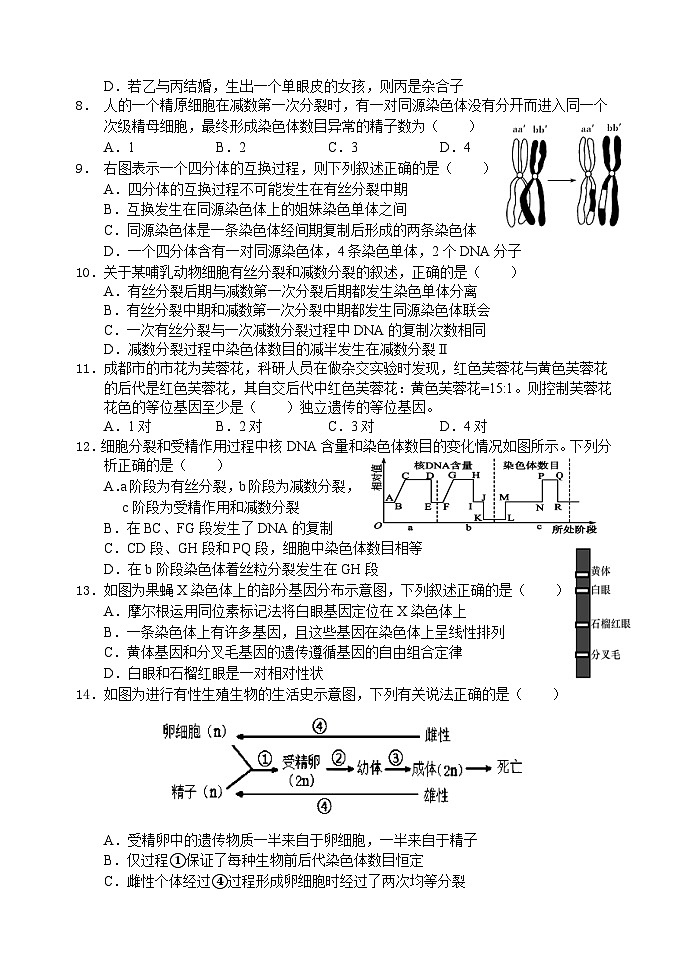 2024南充阆中中学高一下学期期中考试生物含答案02
