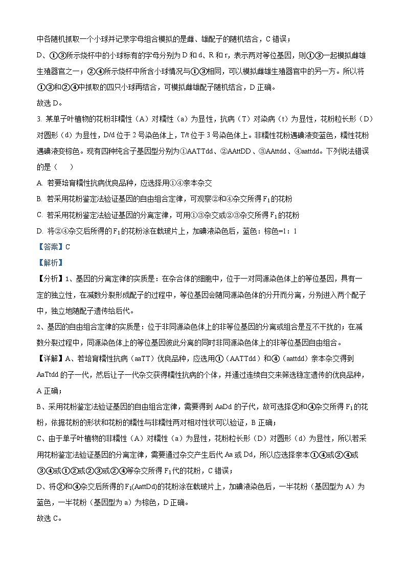 湖北省武汉市六校联盟2023-2024学年高一下学期4月期中联考生物试题含解析第3页