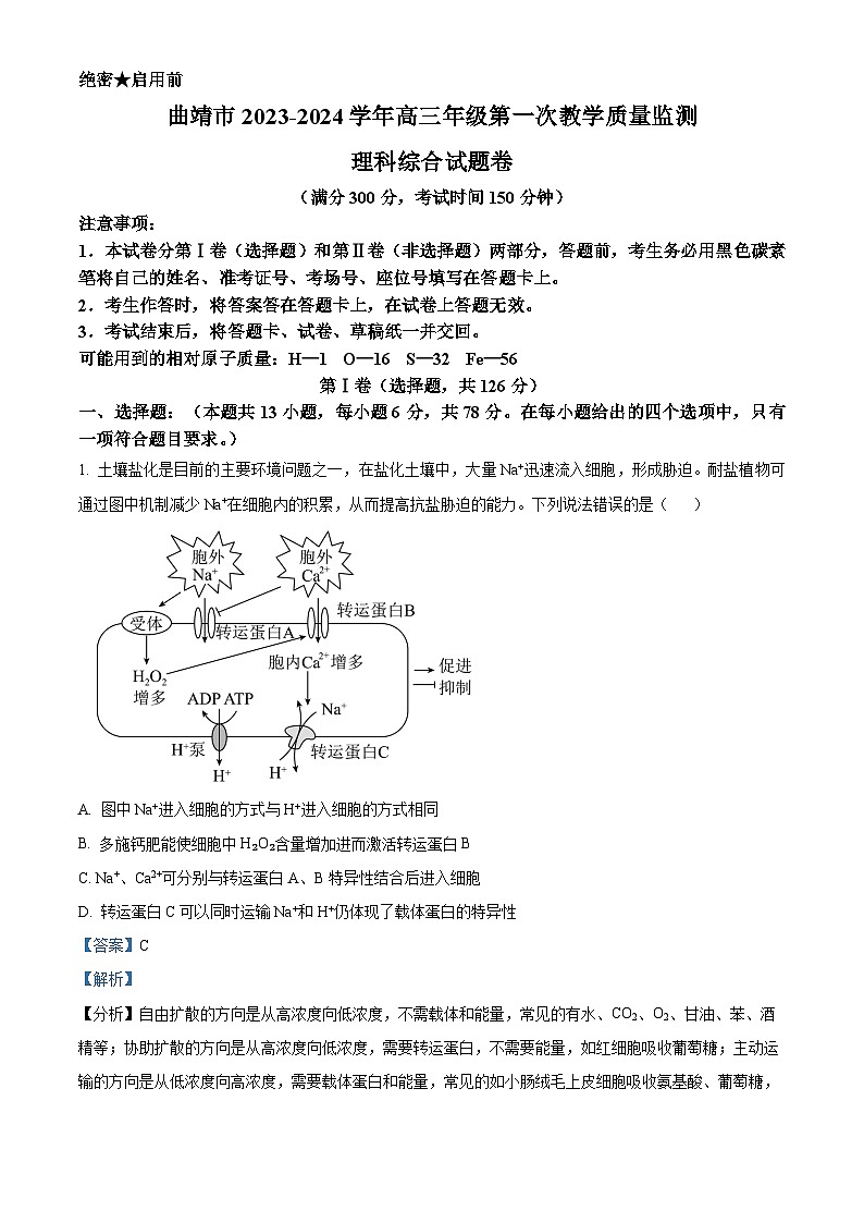 云南省曲靖市2024届高三上学期第一次教学质量监测（一模）生物试题 Word版含解析01