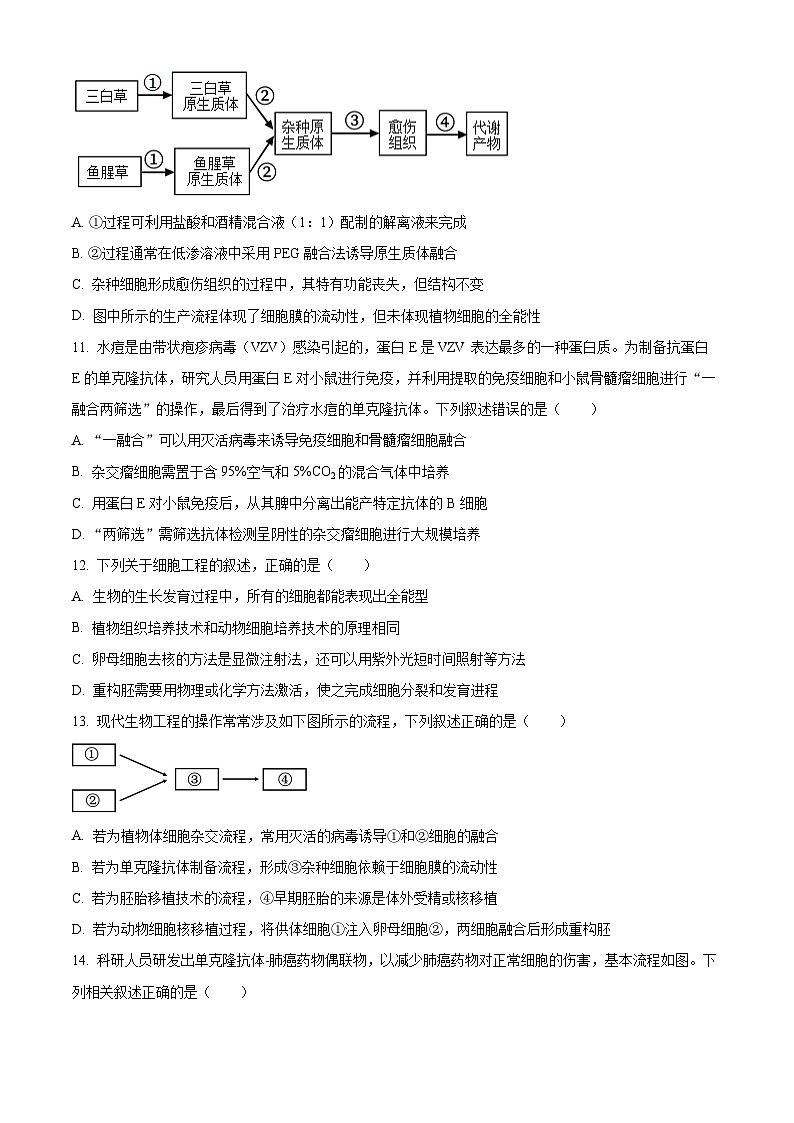 河南省郑州市十校2023-2024学年高二下学期期中联考生物试卷（原卷版+解析版）03