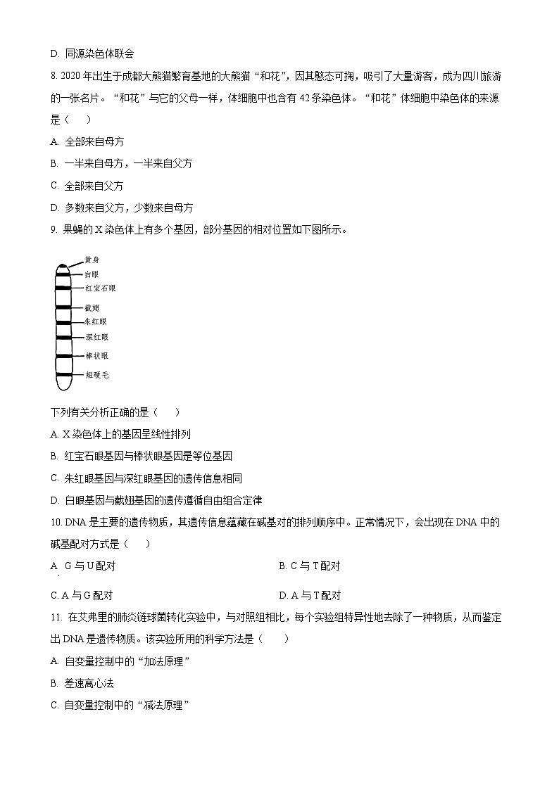 四川省南充市西充中学2023-2024学年高一下学期期中考试生物试题（合格考）（原卷版+解析版）02