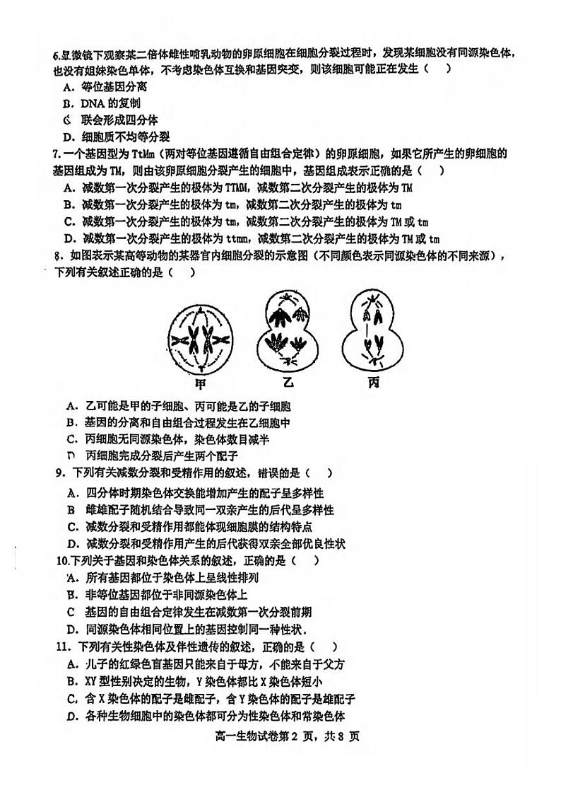福建省福州市福建师大附中2023-2024学年高一下学期期中生物试卷02