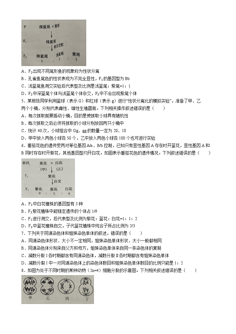 黑龙江省九校联盟2023-2024学年高一下学期4月期中联考生物试题(无答案)02