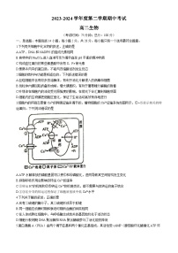 江苏省泰州市靖江市靖江高级中学2023-2024学年高二下学期4月期中生物试题(无答案)