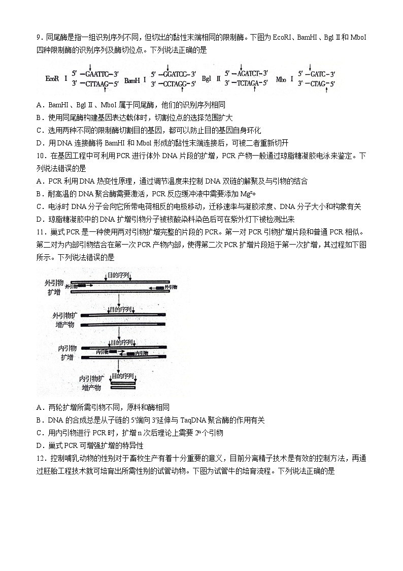 山东省烟台市2023-2024学年高二下学期4月期中生物试题(无答案)03