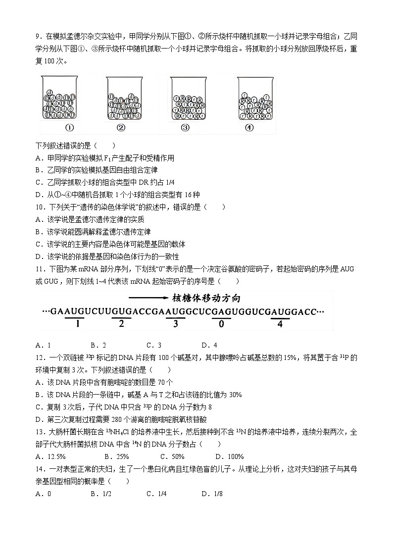 浙江省绍兴市诸暨中学暨阳分校2023-2024学年高一下学期期中考试生物选考试题02