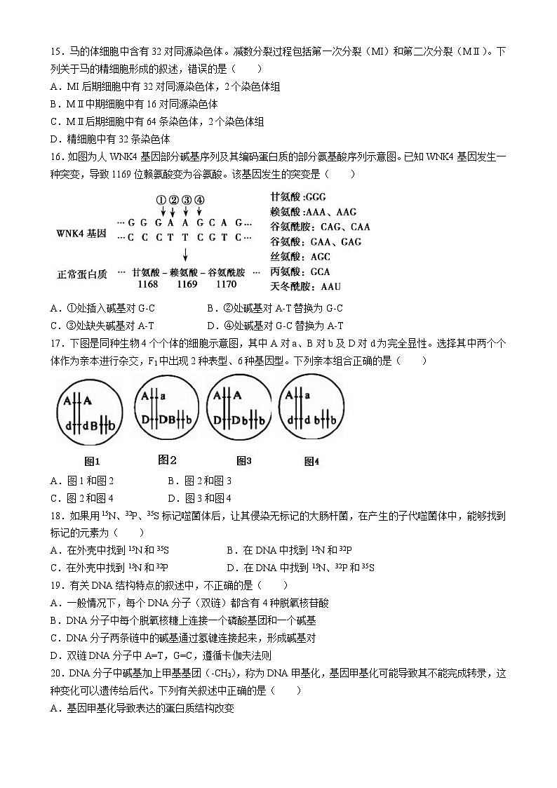 浙江省绍兴市诸暨中学暨阳分校2023-2024学年高一下学期期中考试生物选考试题03