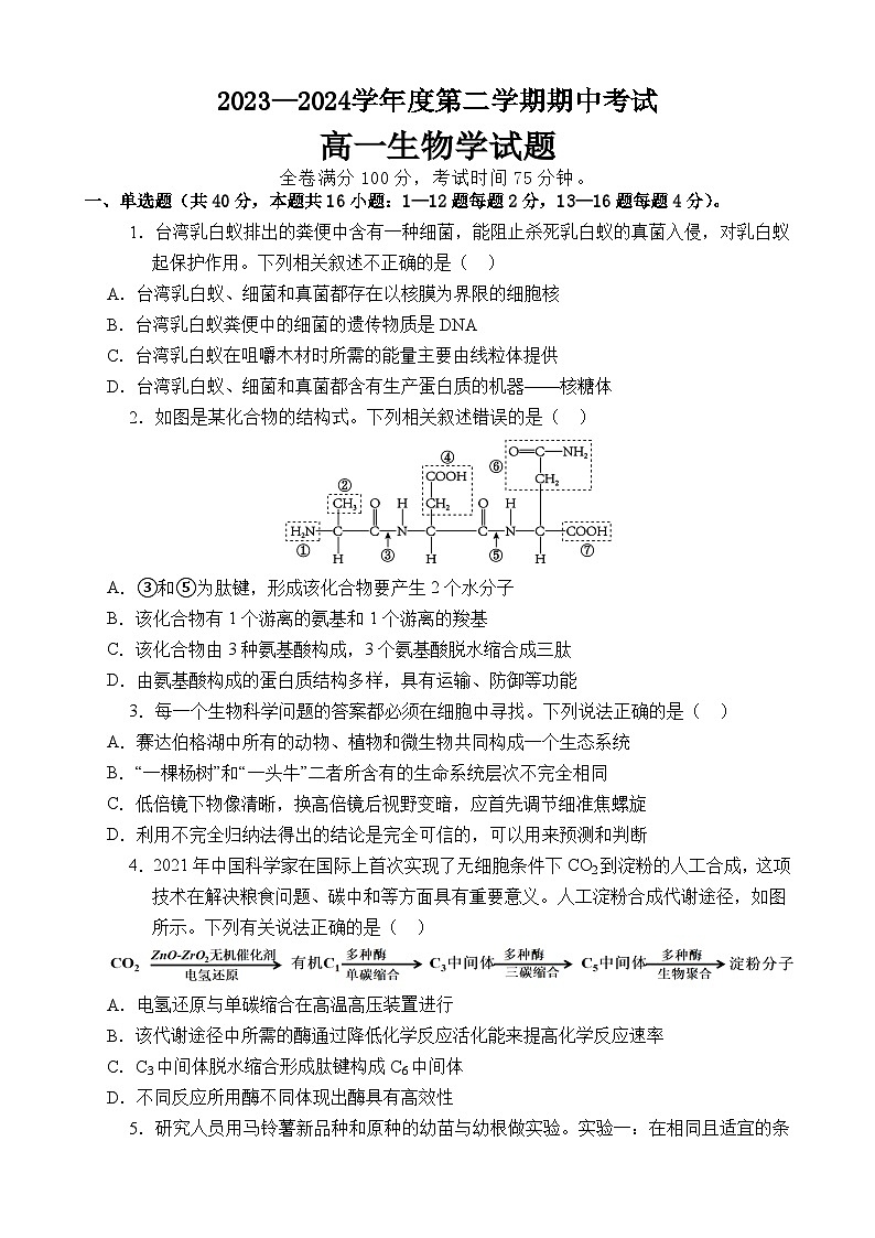 广东省茂名市高州中学2023-2024学年高一下学期期中考试生物试题01