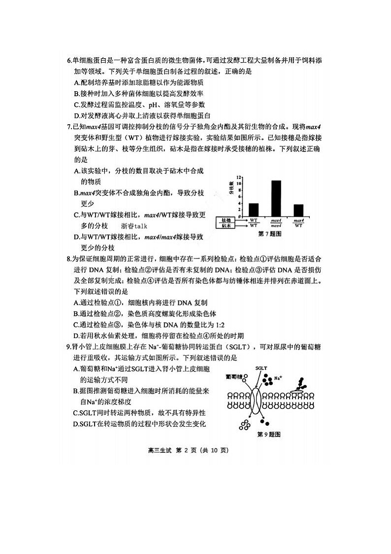 2024届浙江省杭州市高三二模生物试题02