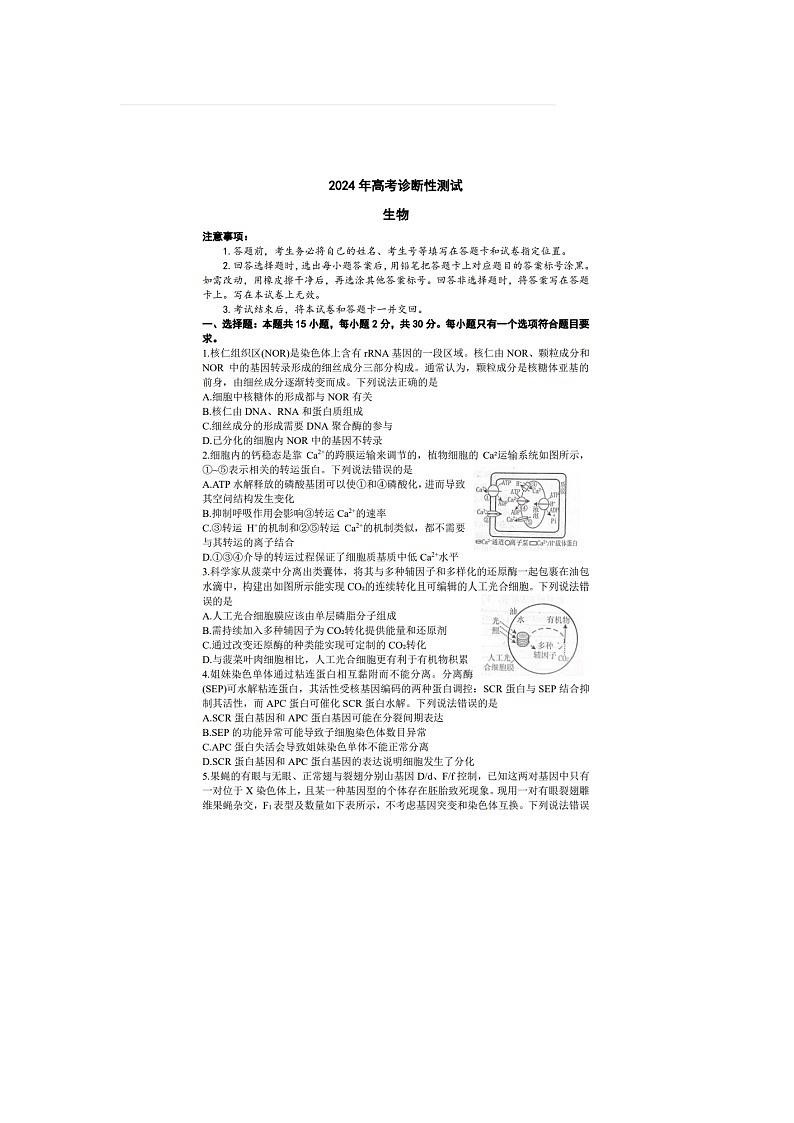 2024届山东烟台高三一模生物试题01