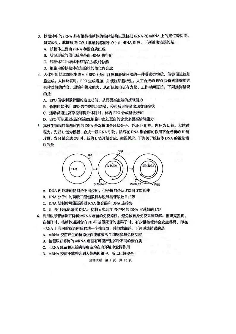 2024届山东青岛高三一模生物试题第2页