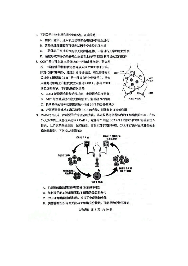2024届山东青岛高三一模生物试题第3页