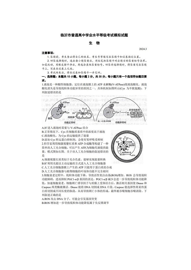 2024届山东临沂市高三一模生物试题01