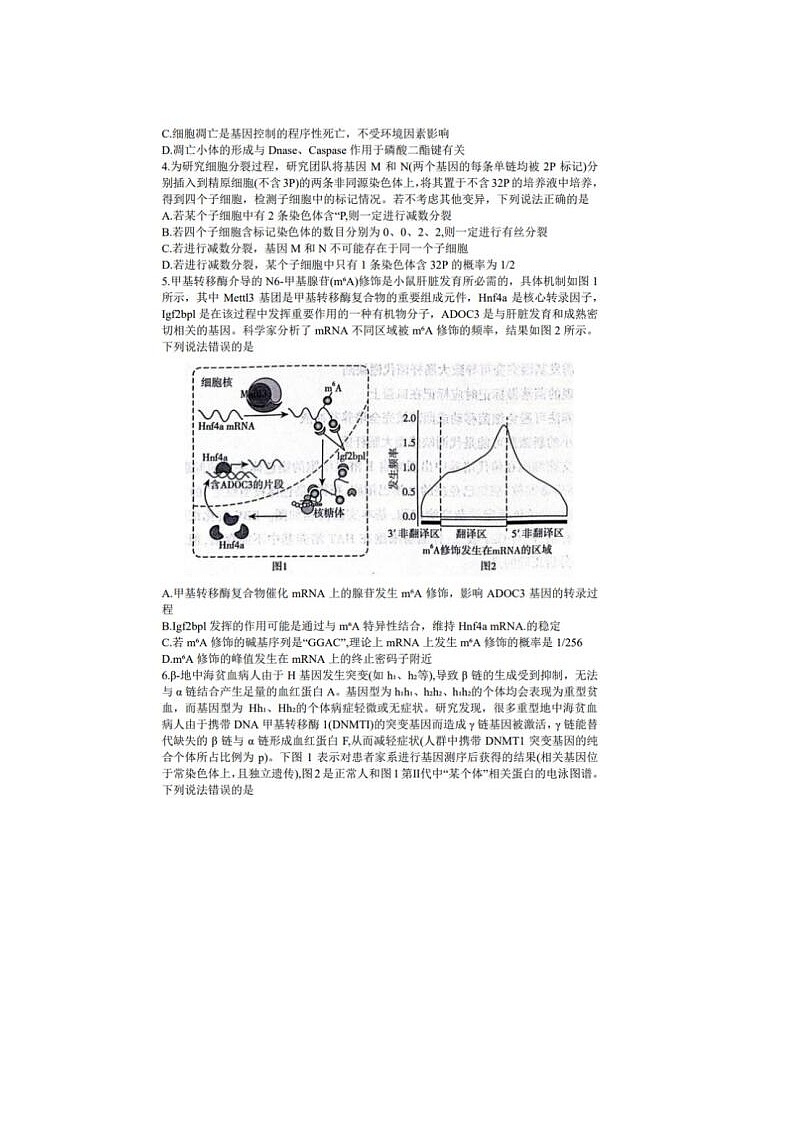 2024届山东临沂市高三一模生物试题02