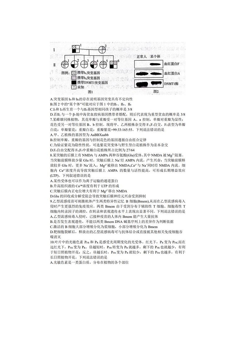 2024届山东临沂市高三一模生物试题03