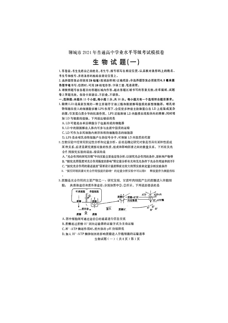 2024届山东聊城高三一模生物试题01
