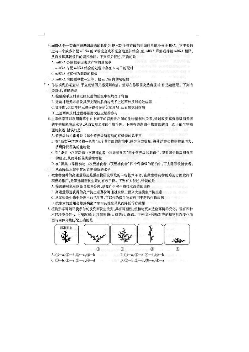 2024届东北三省三校高三一模生物试题第2页