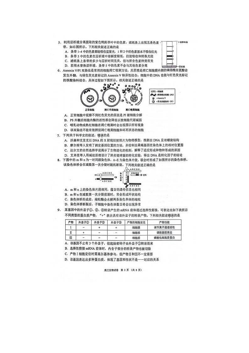 2024届江苏省苏锡常镇四市高三一模生物试题02