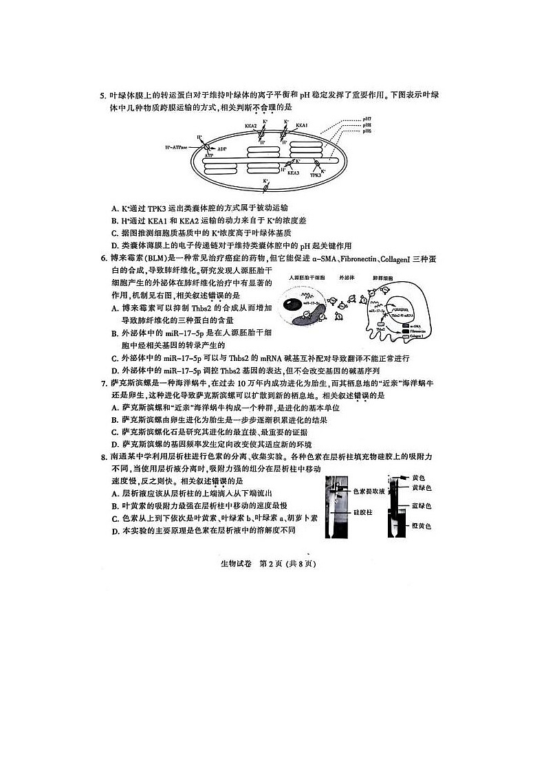 2024届江苏省南通市高三第二次模拟考试生物试题02