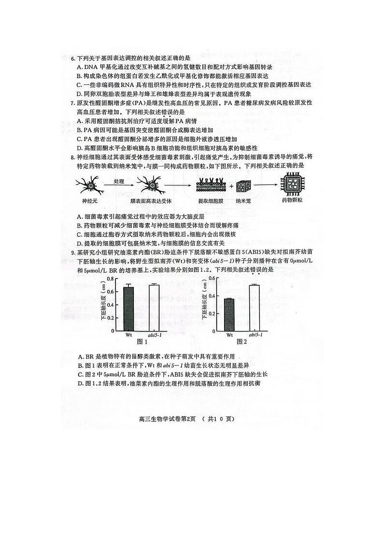 2024届江苏省南京市高三第一次模拟考试生物试题02
