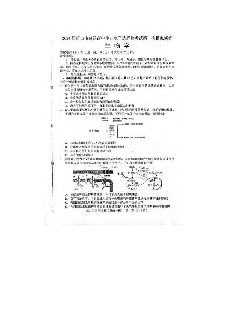 2024届河北省唐山市高三下第一次模拟演练生物试题第1页