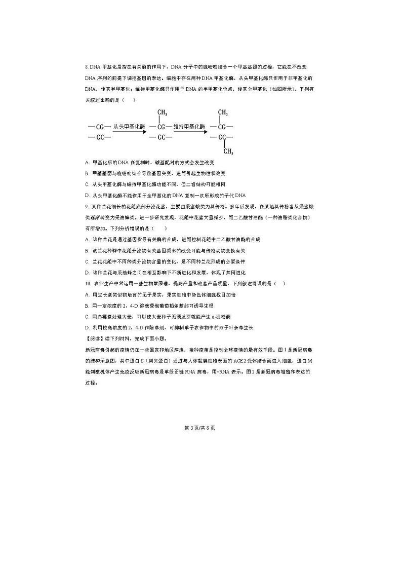2024届天津市八所重点学校高三上学期生物期末联考试题03