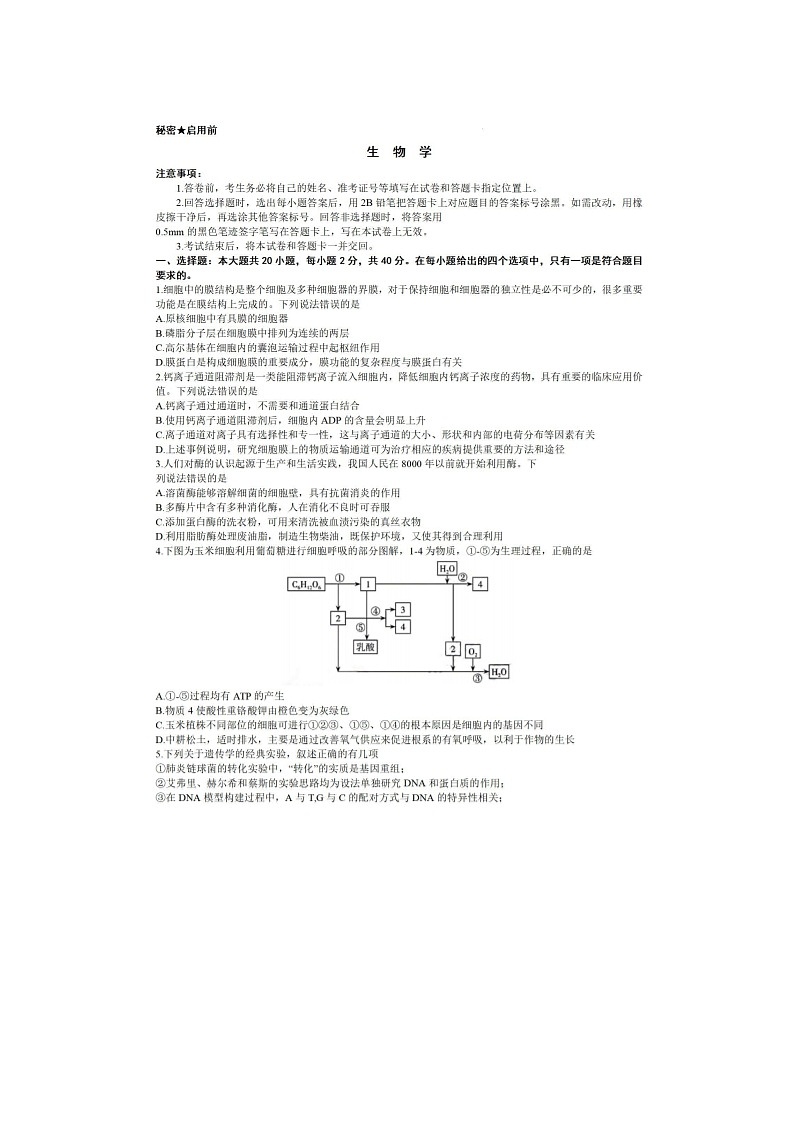 2024届山西省高三上学期生物期末考试题01