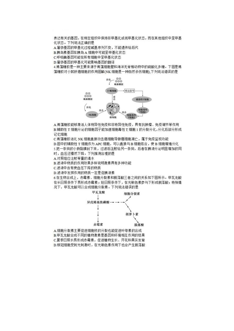 2024届山东枣庄高三上学期生物期末考试题02
