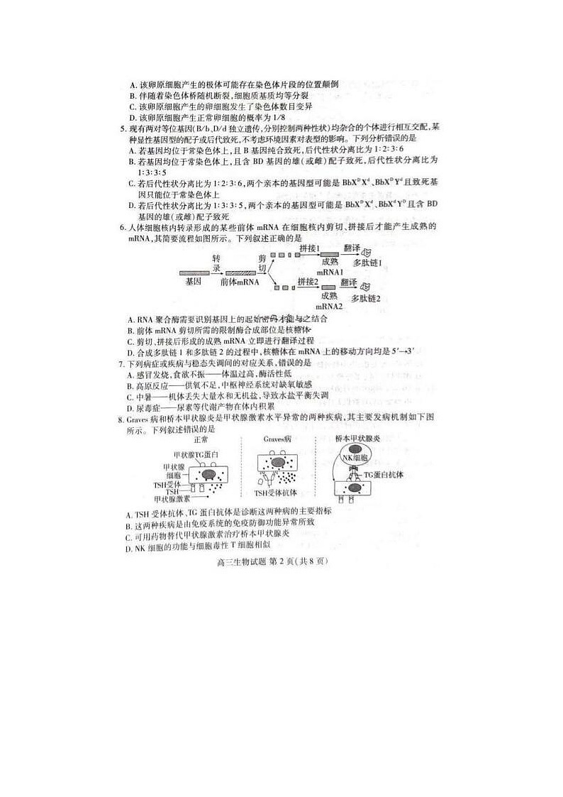 2024届山东新高考联合质量测评高三下学期3月大联考生物试题第2页