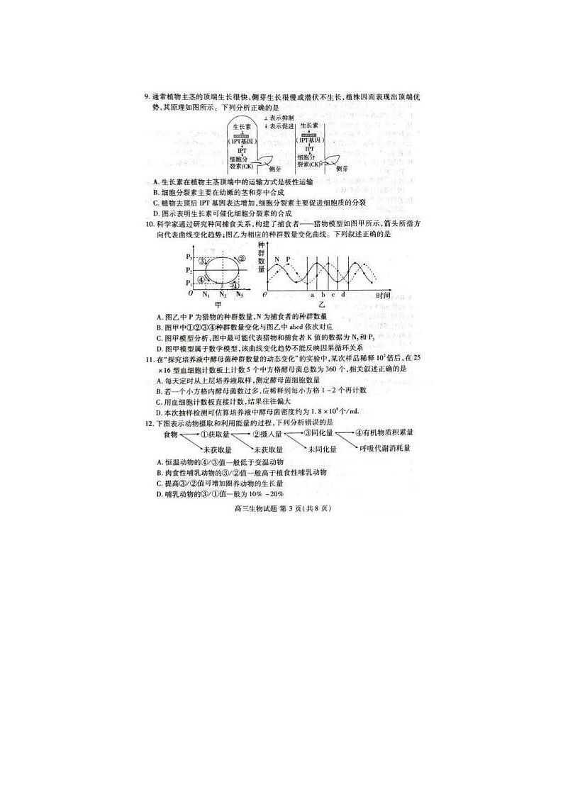 2024届山东新高考联合质量测评高三下学期3月大联考生物试题第3页