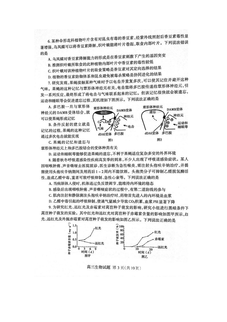 2024届山东泰安高三上学期生物期末考试题第3页