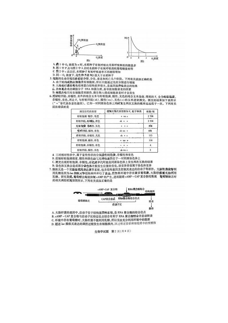 2024届天一大联考齐鲁名校联盟高三下学期4月联考生物试题02