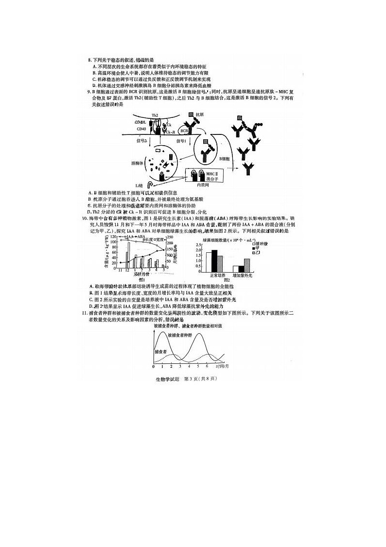 2024届天一大联考齐鲁名校联盟高三下学期4月联考生物试题03
