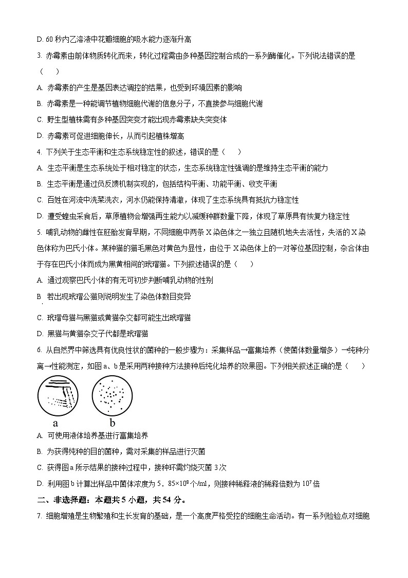 2024昆明一中高三下学期第八次高考适应性考试生物试题含解析02