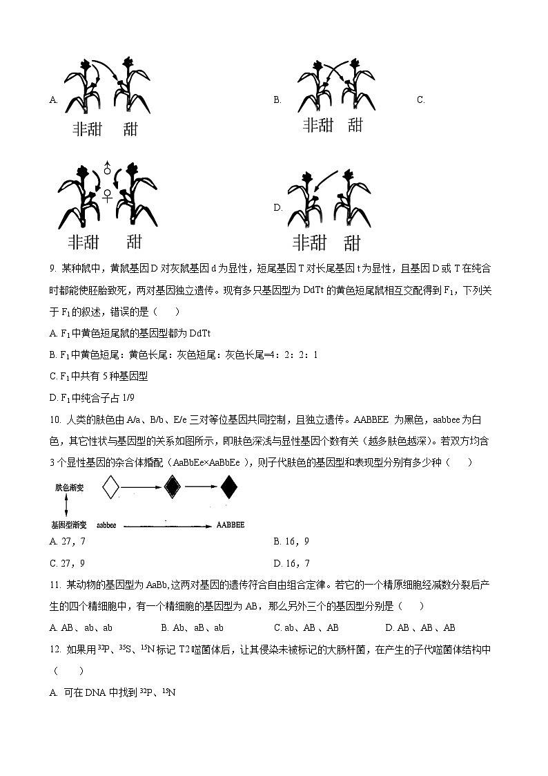 云南省大理市白族自治州民族中学2023-2024学年高二下学期4月月考生物试题无答案第3页